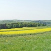 Panorama Limbach 1